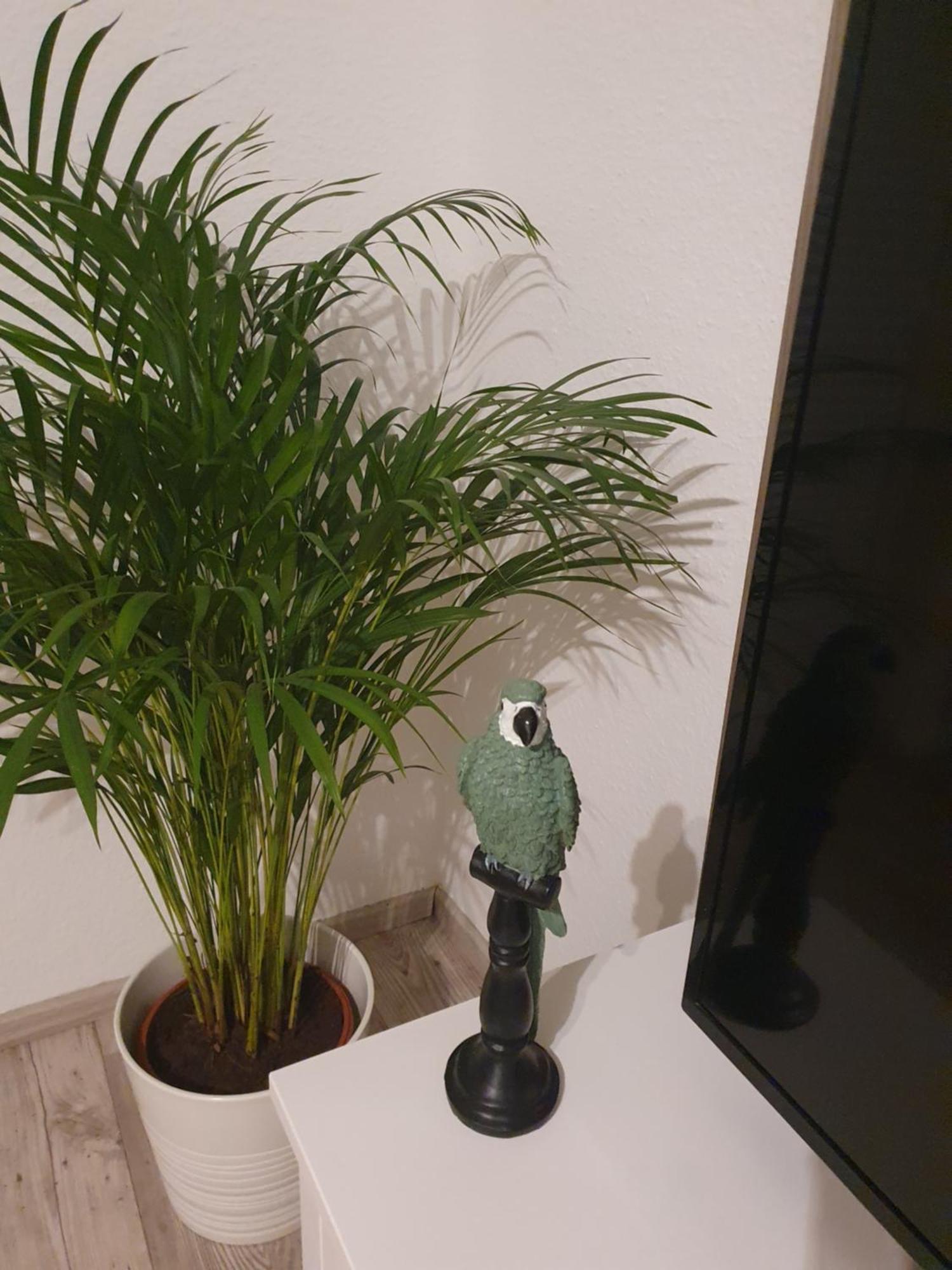 Charmante Haushaelfte Mit Garten Und Terrasse 플렌스부르크 객실 사진